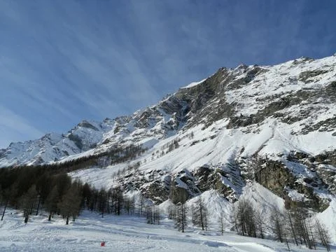 Winter landscape  Stock Photos