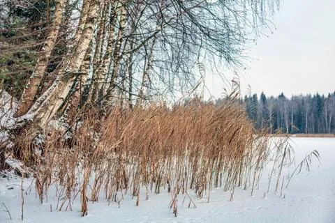Winter landscape Stock Photos