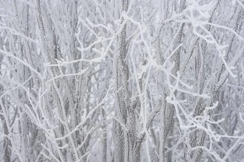 Winter landscape Foto stock
