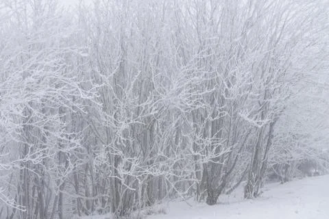 Winter landscape Foto stock