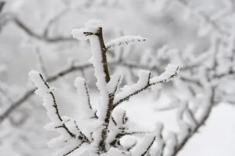 Winter landscape Foto stock
