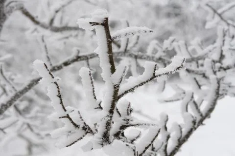 Winter landscape Stock Photos