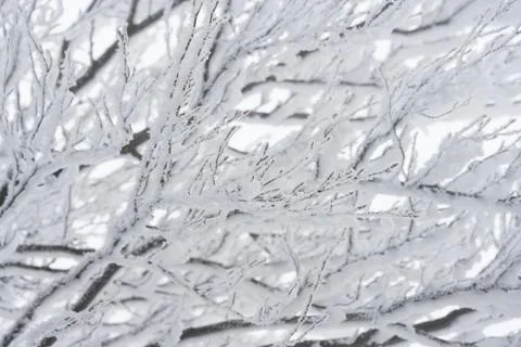 Winter landscape Stock Photos