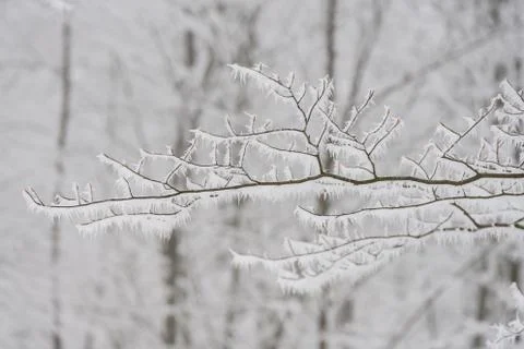 Winter landscape Foto stock