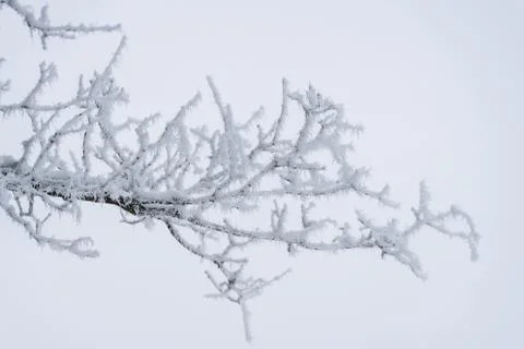 Winter landscape Stock Photos