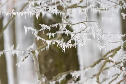 Winter landscape Stock Photos