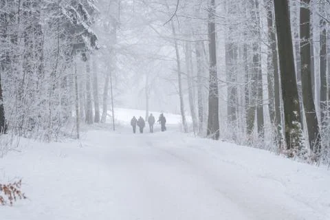 Winter landscape Stock Photos