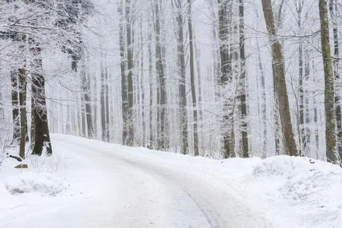 Winter landscape Stock Photos