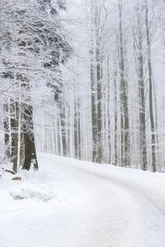 Winter landscape Foto stock