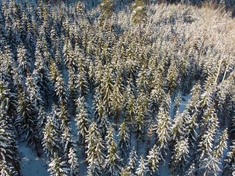 Winter landscape Stock-Fotos