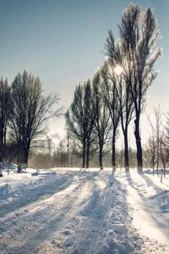 Winter landscape Stock Photos