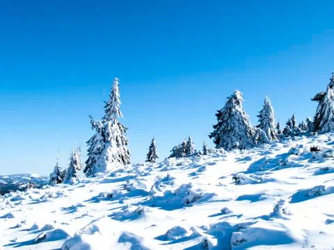 Winter landscape Stockfoto's
