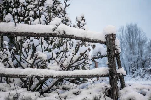 Winter landscape. Stock Photos
