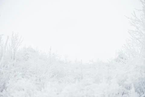 Winter landscape. Foto stock