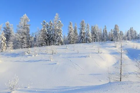 Winter landscape Foto stock