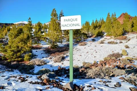 Winter Landscape Stock Photos