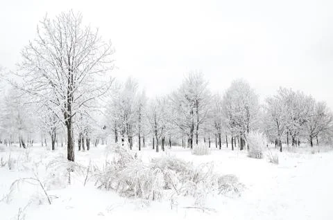 Winter landscape Stock Photos