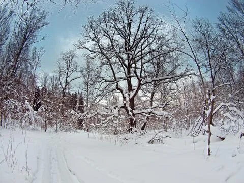 Winter landscape Stock Photos