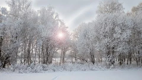Winter landscape Stock Photos