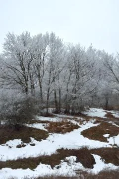 Winter landscape Stock Photos