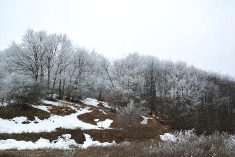 Winter landscape Stock Photos