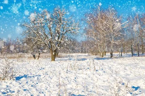 Winter landscape Stock Photos