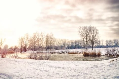 Winter landscape Stock Photos