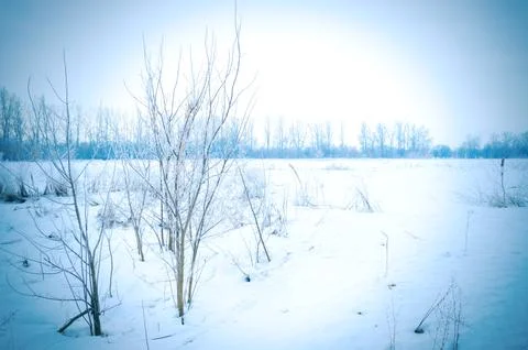 Winter landscape Stock Photos