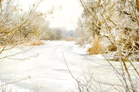 Winter landscape Stock Photos
