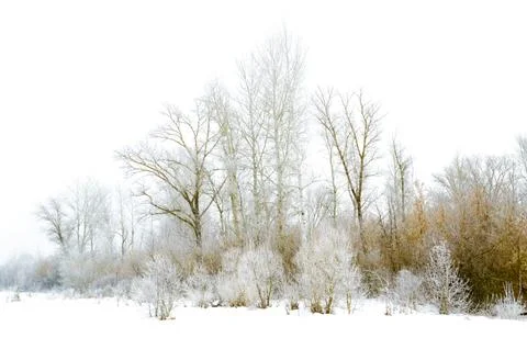 Winter landscape Stock Photos