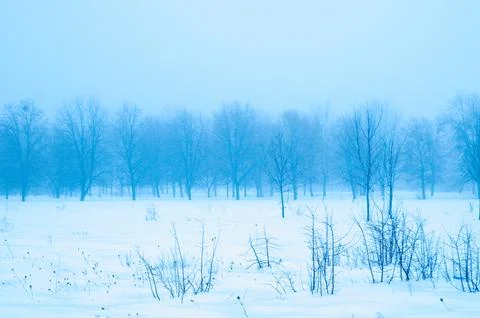 Winter landscape Stock Photos