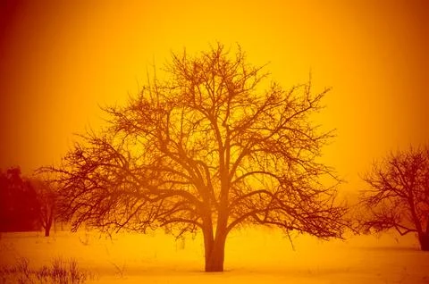 Winter landscape Stock Photos