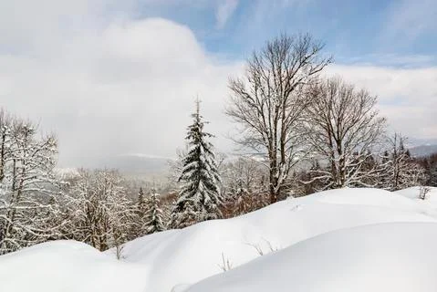 Winter landscape 스톡 사진
