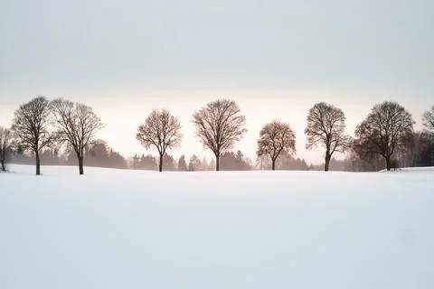 Winter Landscape Stock Photos