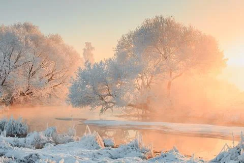 Winter landscape Stock Photos
