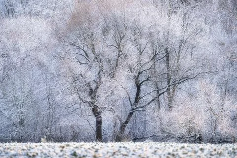 Winter landscape Stock Photos