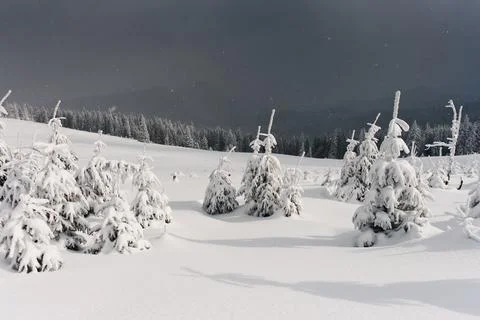 Winter landscape Stock Photos