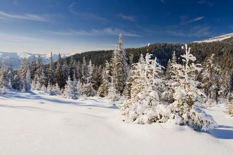 Winter landscape Stock Photos