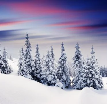 Winter landscape Stock Photos