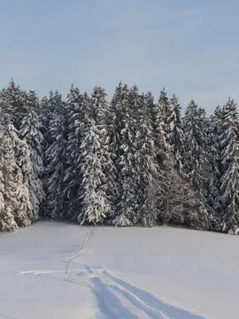 Winter landscape Stock Photos