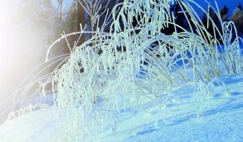 Winter landscape. Foto stock