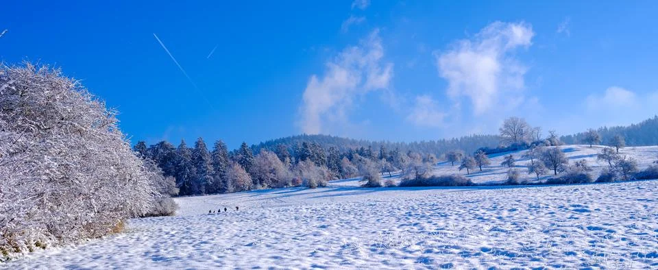 Winter landscape Stock Photos