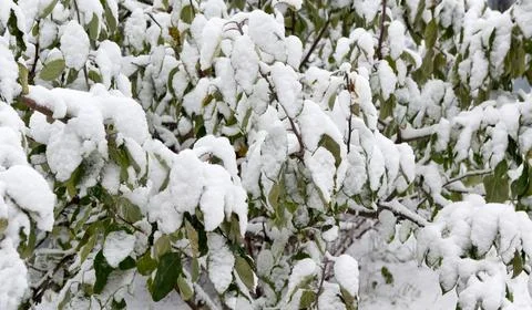 Winter landscape Stock Photos