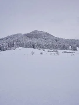 Winter landscape Stock Photos