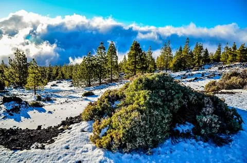 Winter Landscape Stock Photos