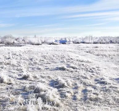 Winter landscape Stock Photos