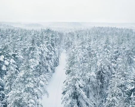 Winter landscape Foto stock