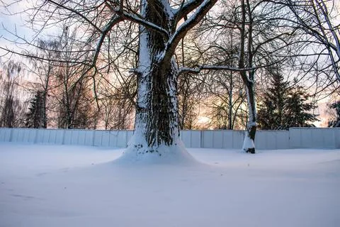 A winter landscape 스톡 사진