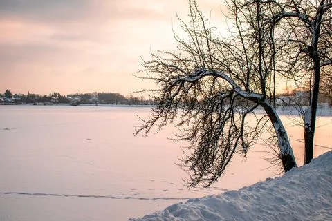 A winter landscape Foto stock