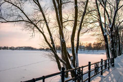 A winter landscape 스톡 사진